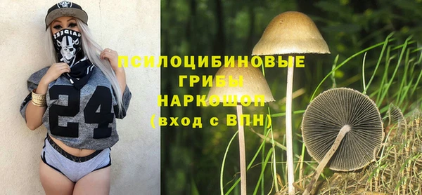 spice Верея
